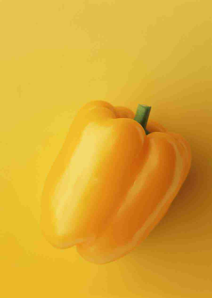 Vegetables - Datacraft Sozaijiten  ></a>
<script language=JavaScript> 
  var txt = 