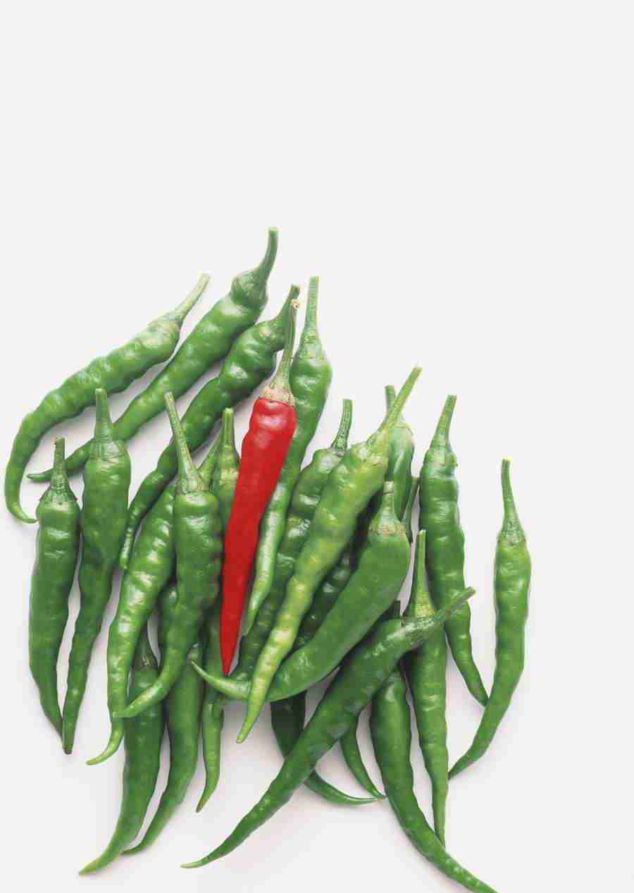 Vegetables - Datacraft Sozaijiten  ></a>
<script language=JavaScript> 
  var txt = 