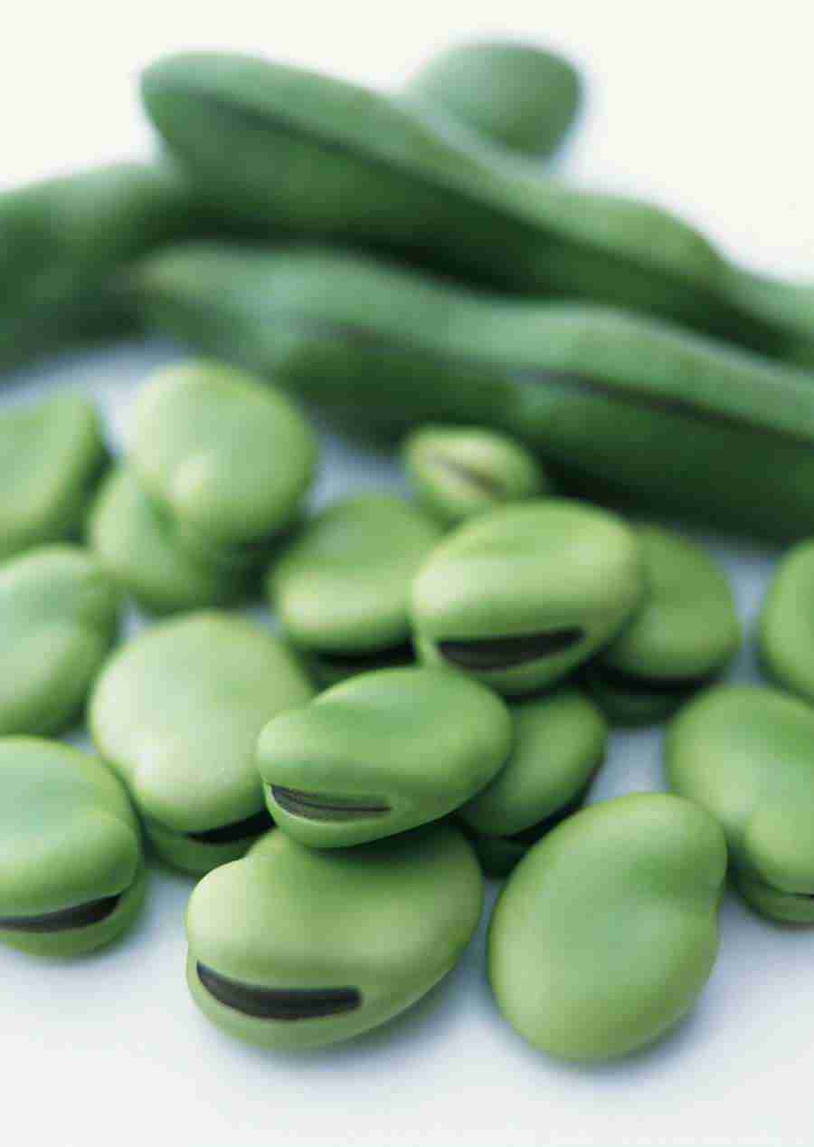 Vegetables - Datacraft Sozaijiten  ></a>
<script language=JavaScript> 
  var txt = 