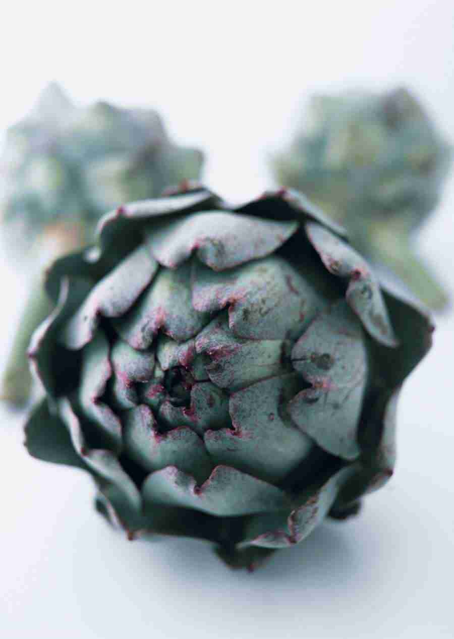 Vegetables - Datacraft Sozaijiten  ></a>
<script language=JavaScript> 
  var txt = 