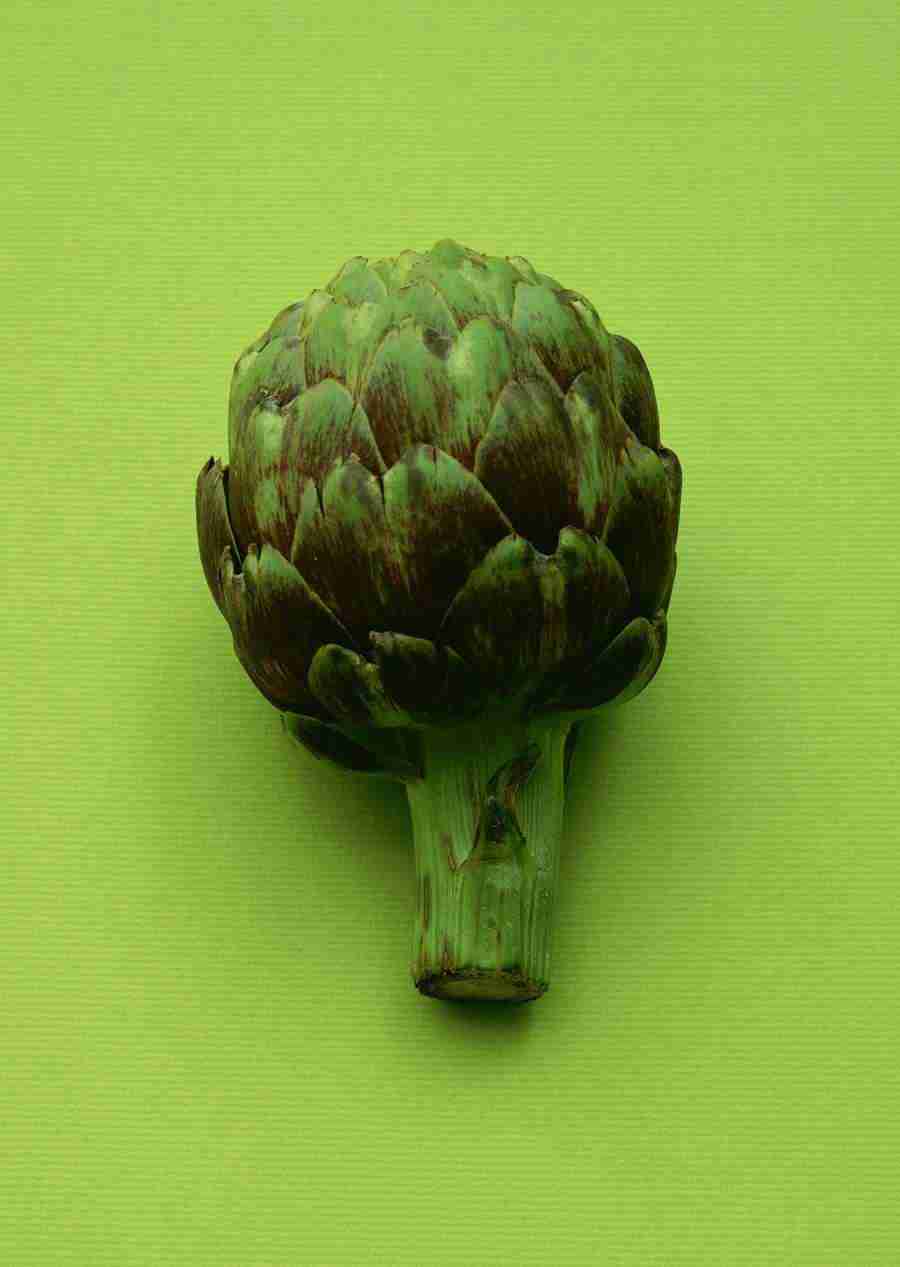 Vegetables - Datacraft Sozaijiten  ></a>
<script language=JavaScript> 
  var txt = 