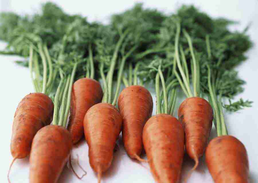 Vegetables - Datacraft Sozaijiten  ></a>
<script language=JavaScript> 
  var txt = 