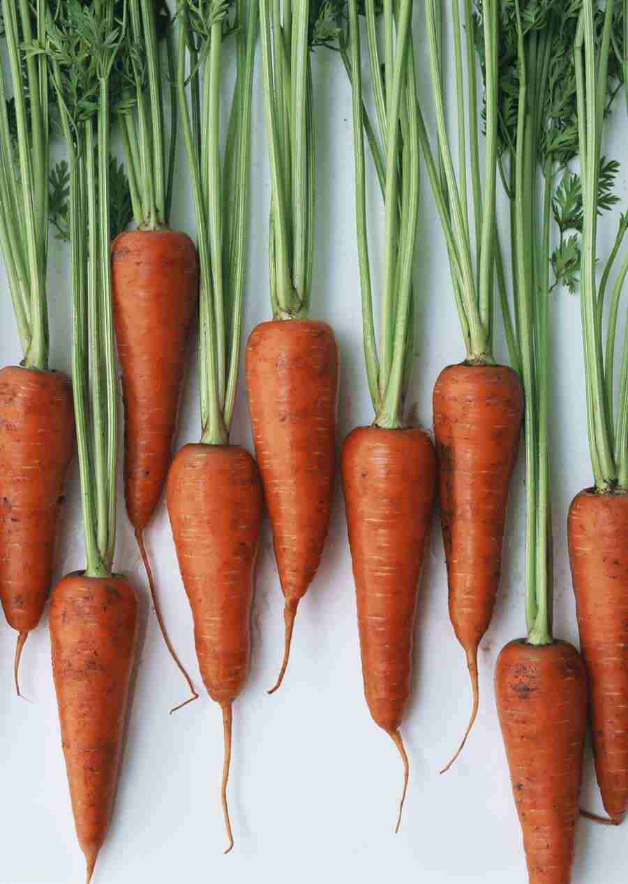 Vegetables - Datacraft Sozaijiten  ></a>
<script language=JavaScript> 
  var txt = 