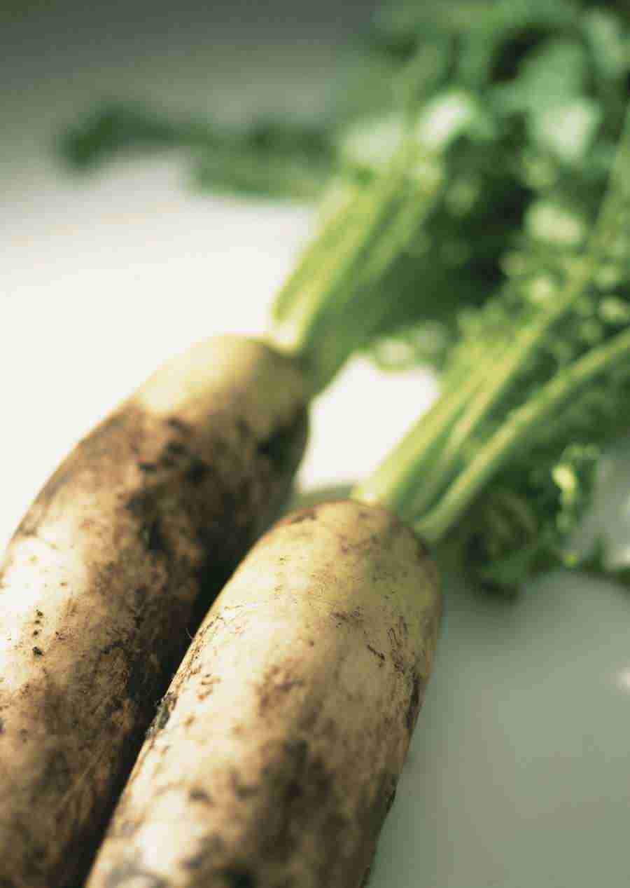 Vegetables - Datacraft Sozaijiten  ></a>
<script language=JavaScript> 
  var txt = 