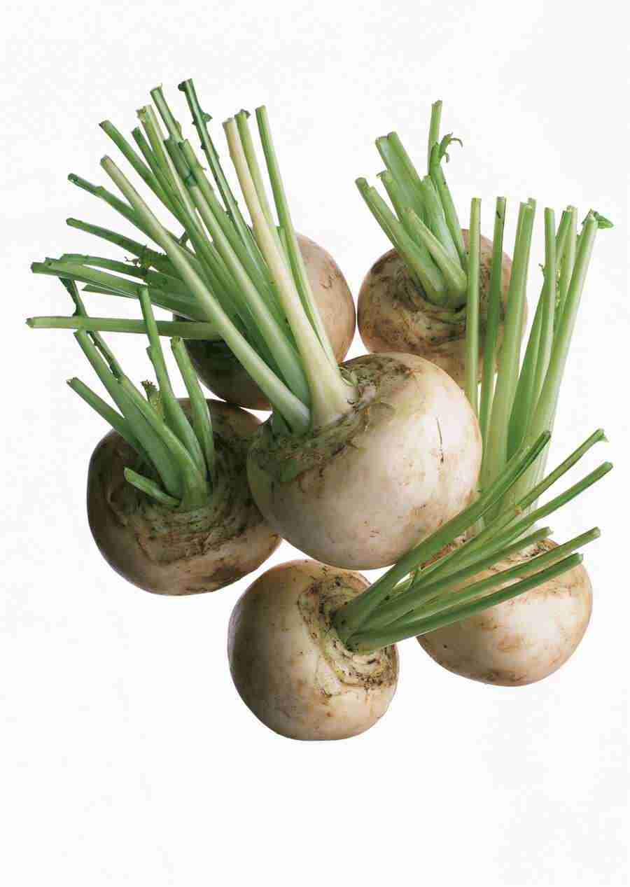 Vegetables - Datacraft Sozaijiten  ></a>
<script language=JavaScript> 
  var txt = 