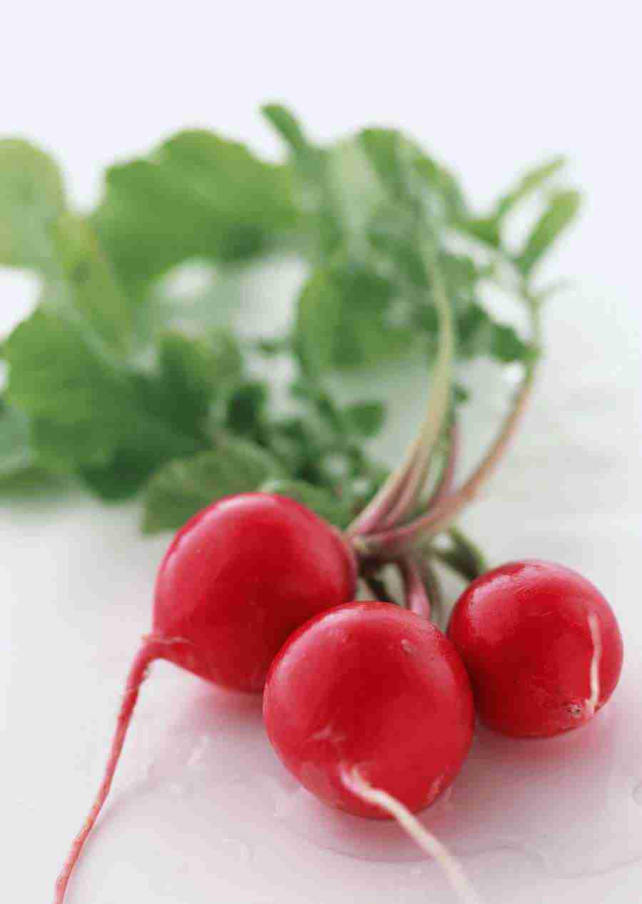 Vegetables - Datacraft Sozaijiten  ></a>
<script language=JavaScript> 
  var txt = 