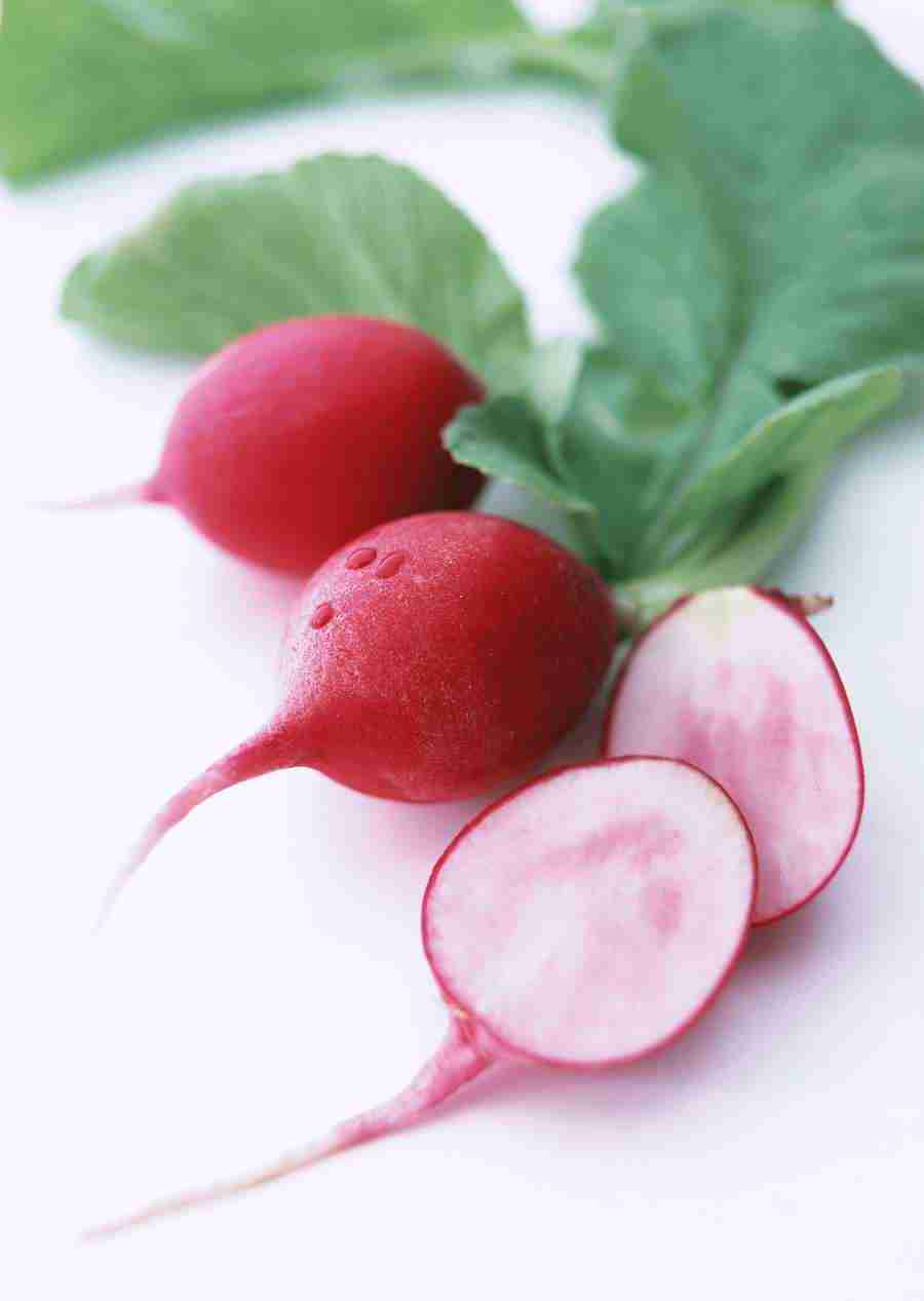 Vegetables - Datacraft Sozaijiten  ></a>
<script language=JavaScript> 
  var txt = 