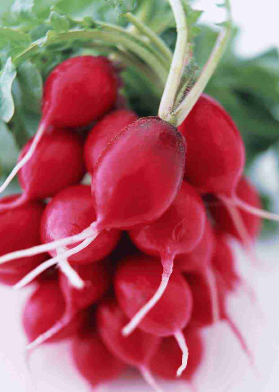 Vegetables - Datacraft Sozaijiten  ></a>
<script language=JavaScript> 
  var txt = 