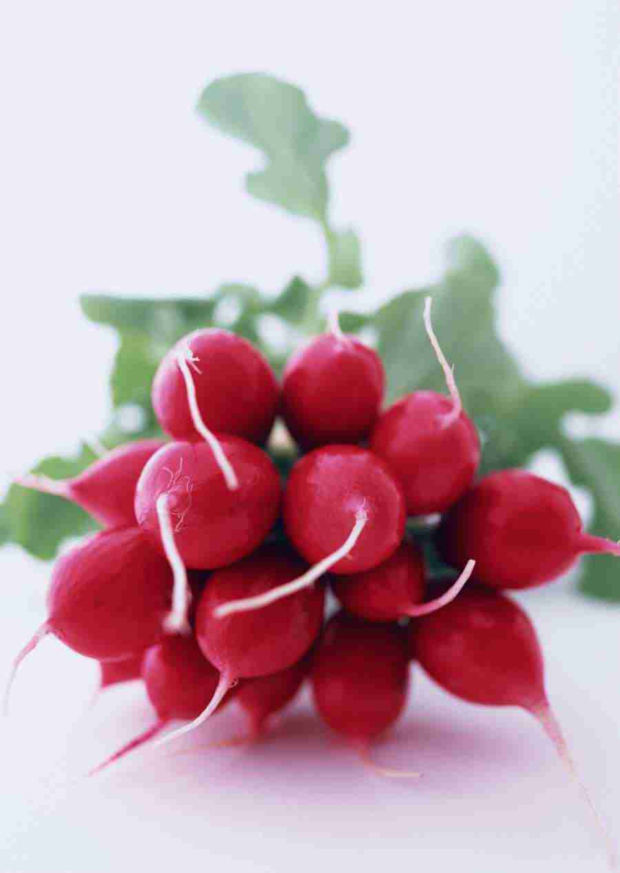 Vegetables - Datacraft Sozaijiten  ></a>
<script language=JavaScript> 
  var txt = 