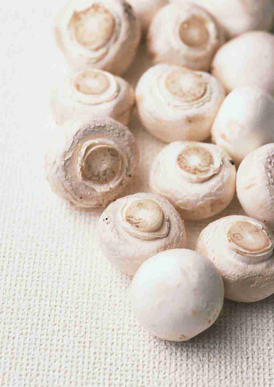 Vegetables - Datacraft Sozaijiten  ></a>
<script language=JavaScript> 
  var txt = 