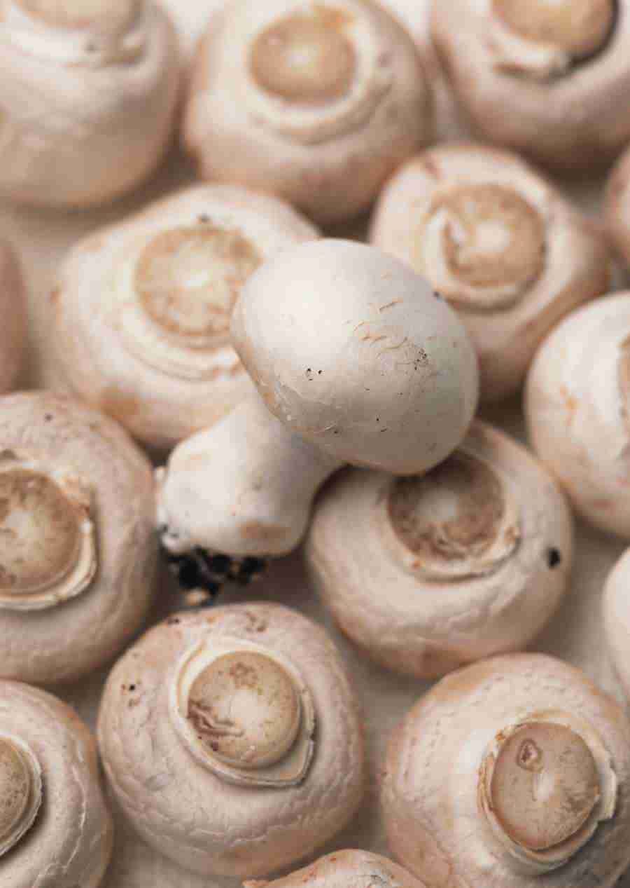 Vegetables - Datacraft Sozaijiten  ></a>
<script language=JavaScript> 
  var txt = 