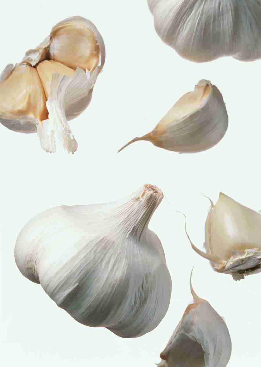 Vegetables - Datacraft Sozaijiten  ></a>
<script language=JavaScript> 
  var txt = 