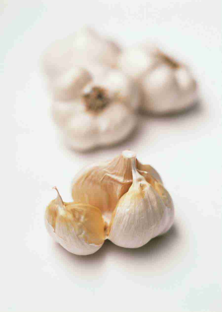 Vegetables - Datacraft Sozaijiten  ></a>
<script language=JavaScript> 
  var txt = 