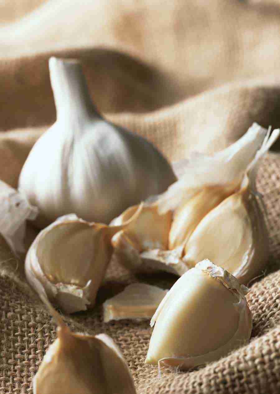 Vegetables - Datacraft Sozaijiten  ></a>
<script language=JavaScript> 
  var txt = 