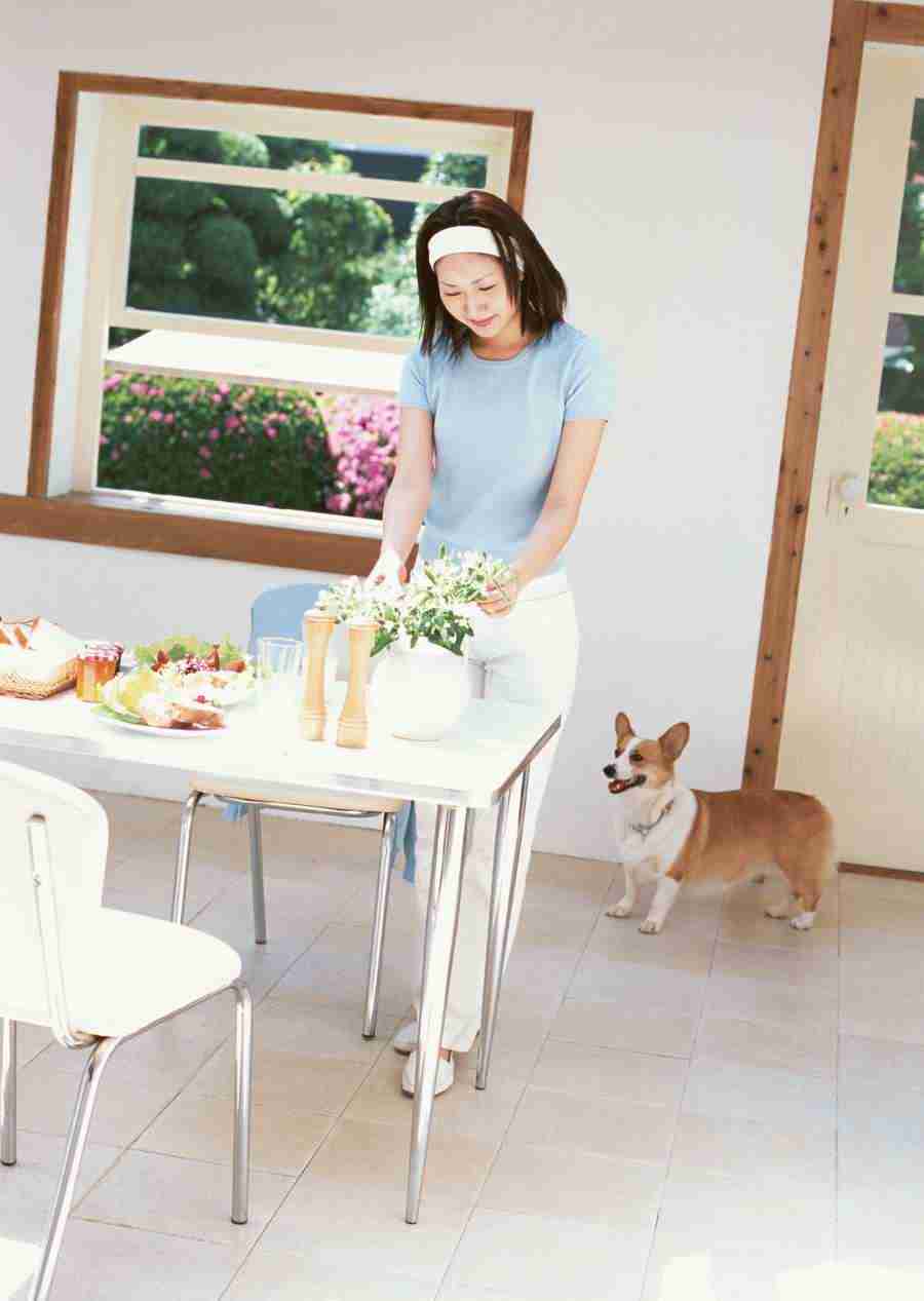 Women And Their Dogs - Datacraft Sozaijiten  ></a>
<script language=JavaScript> 
  var txt = 