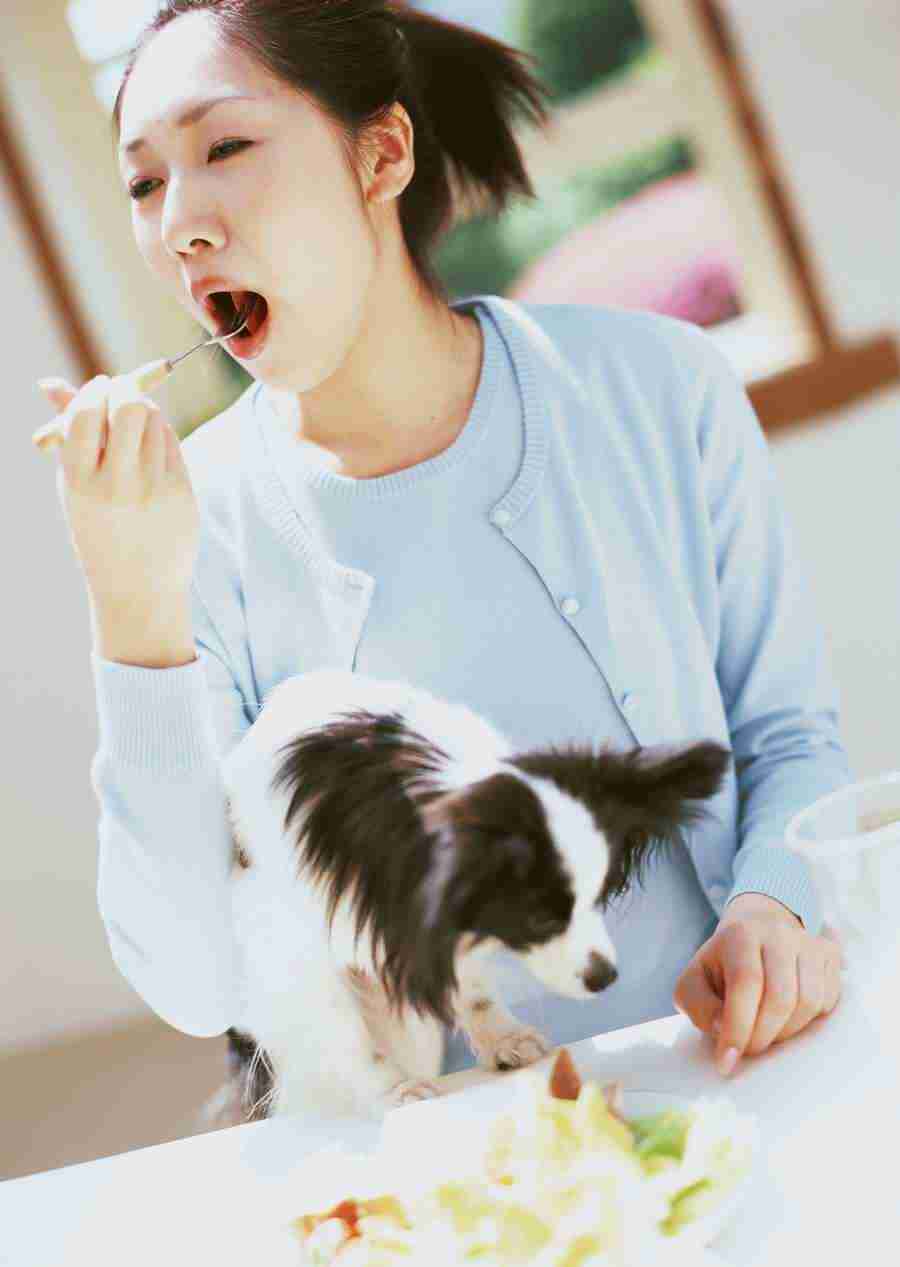 Women And Their Dogs - Datacraft Sozaijiten  ></a>
<script language=JavaScript> 
  var txt = 