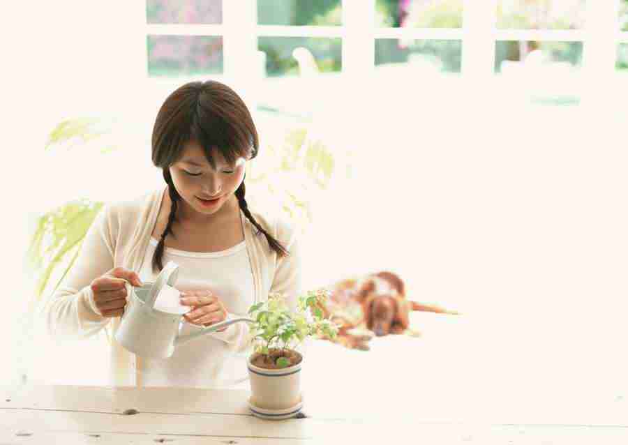 Women And Their Dogs - Datacraft Sozaijiten  ></a>
<script language=JavaScript> 
  var txt = 