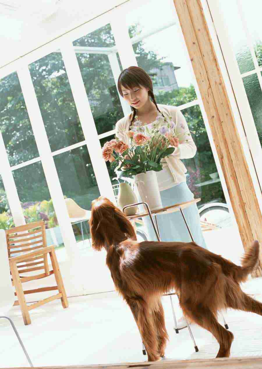 Women And Their Dogs - Datacraft Sozaijiten  ></a>
<script language=JavaScript> 
  var txt = 