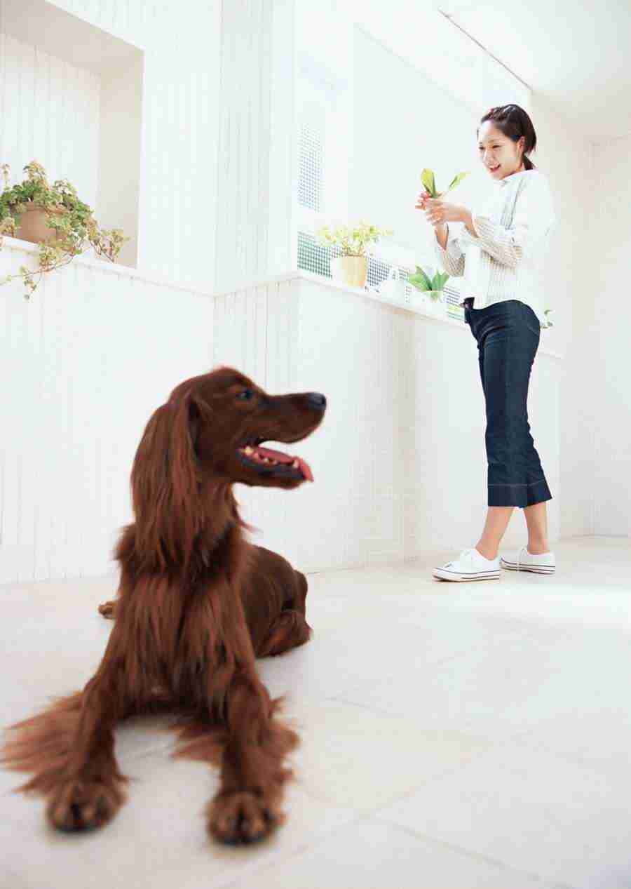 Women And Their Dogs - Datacraft Sozaijiten  ></a>
<script language=JavaScript> 
  var txt = 