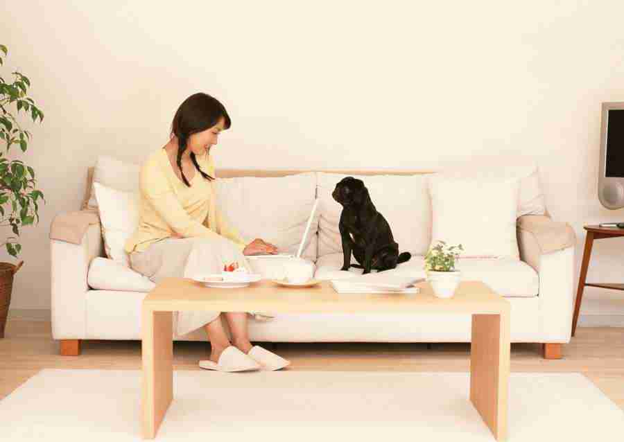 Women And Their Dogs - Datacraft Sozaijiten  ></a>
<script language=JavaScript> 
  var txt = 