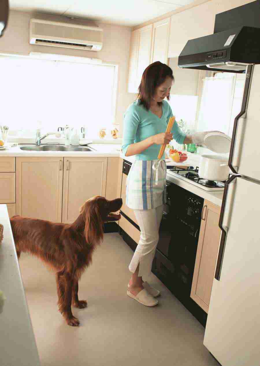 Women And Their Dogs - Datacraft Sozaijiten  ></a>
<script language=JavaScript> 
  var txt = 