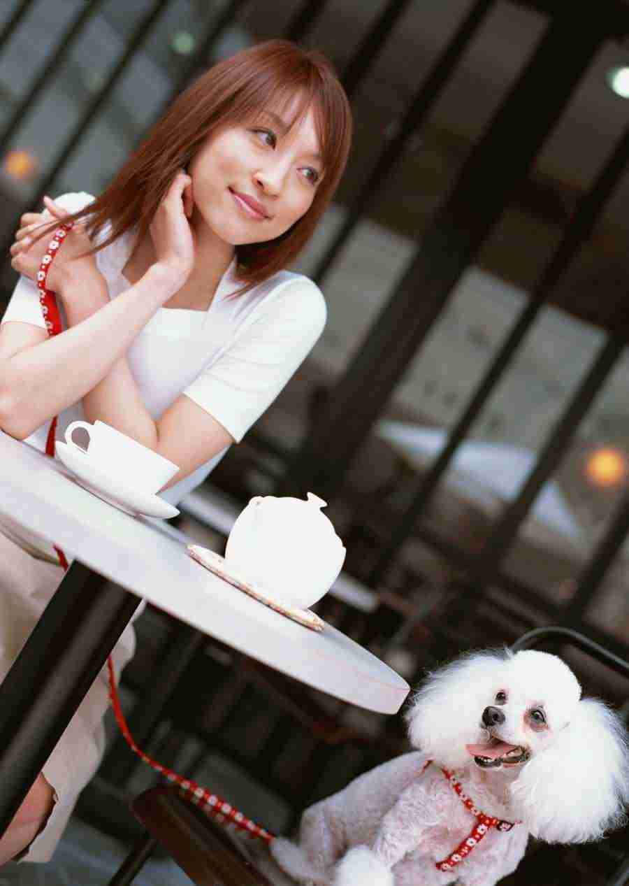 Women And Their Dogs - Datacraft Sozaijiten  ></a>
<script language=JavaScript> 
  var txt = 