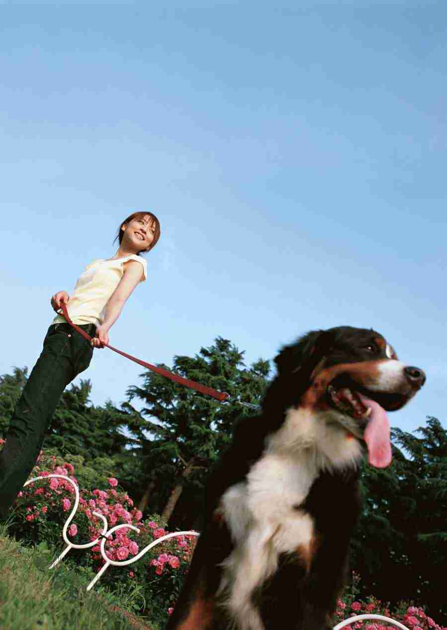Women And Their Dogs - Datacraft Sozaijiten  ></a>
<script language=JavaScript> 
  var txt = 