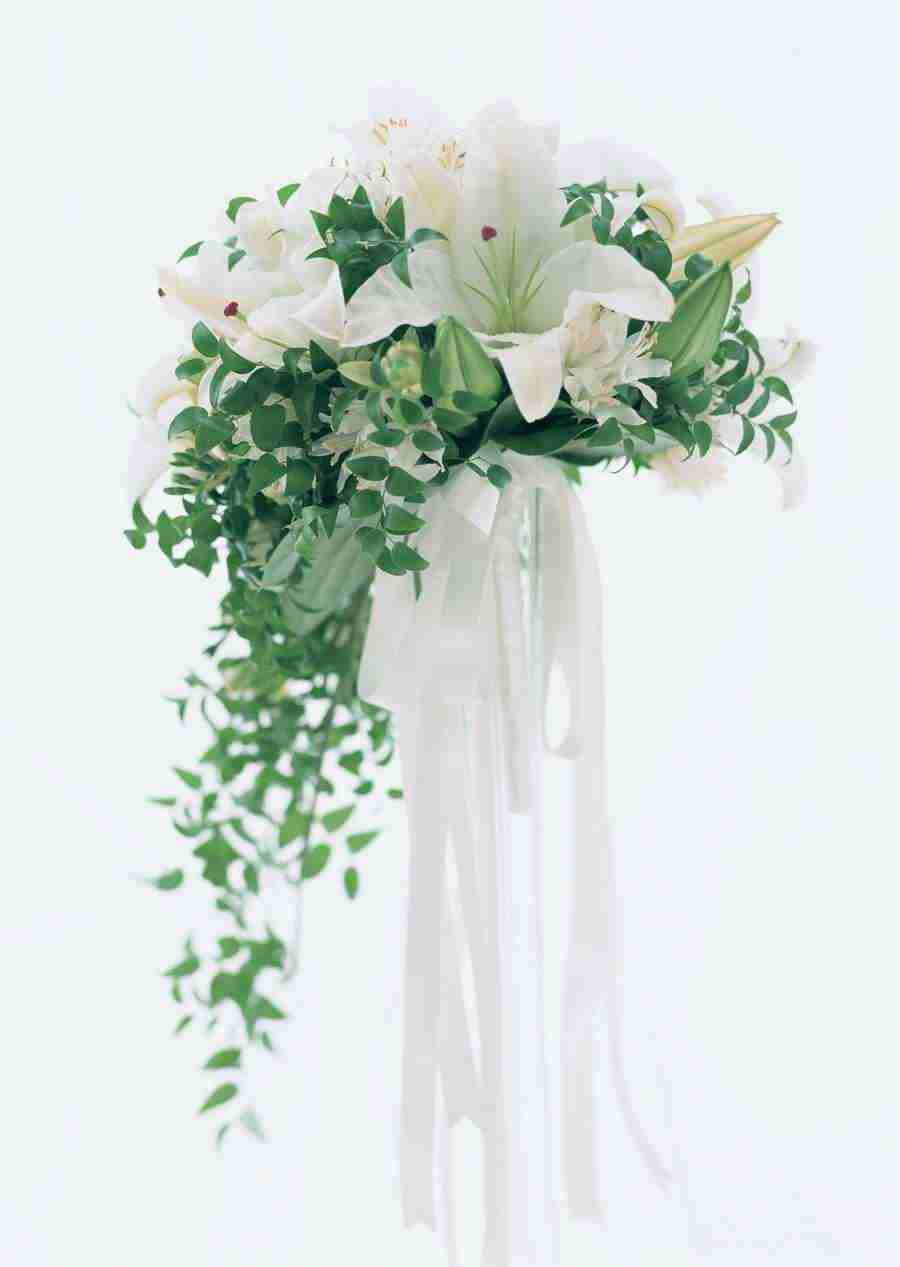 Wedding Flowers - Datacraft Sozaijiten  ></a>
<script language=JavaScript> 
  var txt = 