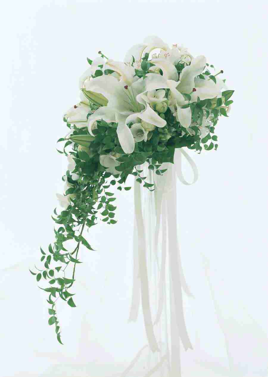 Wedding Flowers - Datacraft Sozaijiten  ></a>
<script language=JavaScript> 
  var txt = 