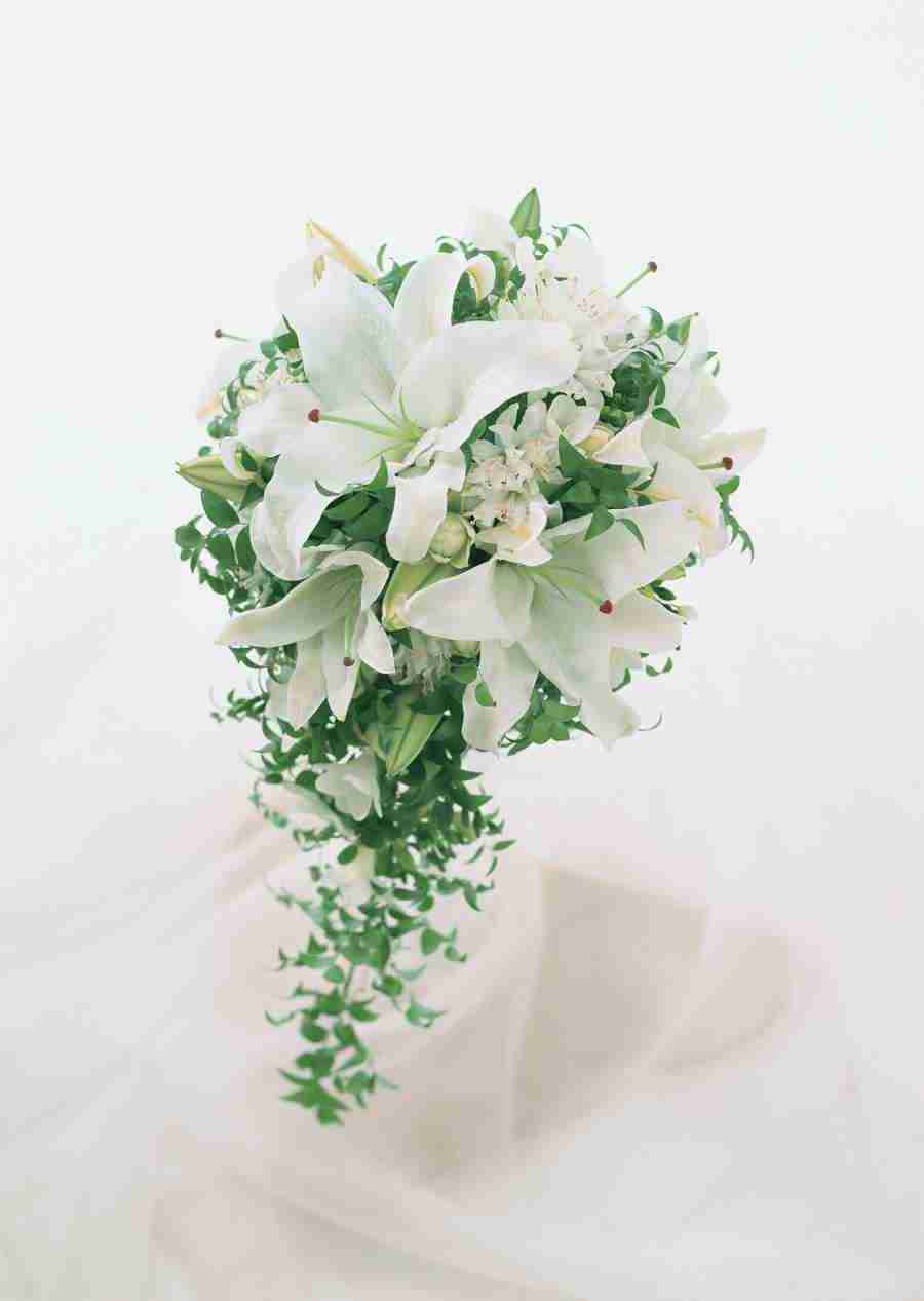 Wedding Flowers - Datacraft Sozaijiten  ></a>
<script language=JavaScript> 
  var txt = 