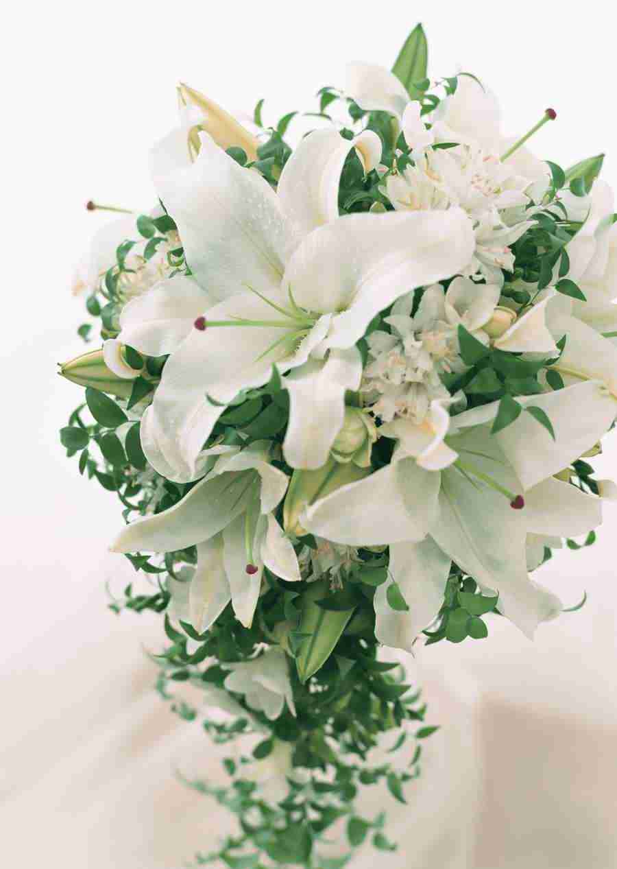 Wedding Flowers - Datacraft Sozaijiten  ></a>
<script language=JavaScript> 
  var txt = 