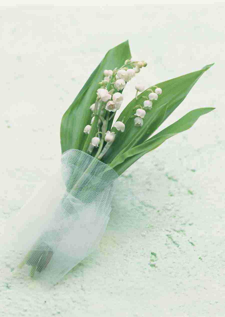 Wedding Flowers - Datacraft Sozaijiten  ></a>
<script language=JavaScript> 
  var txt = 