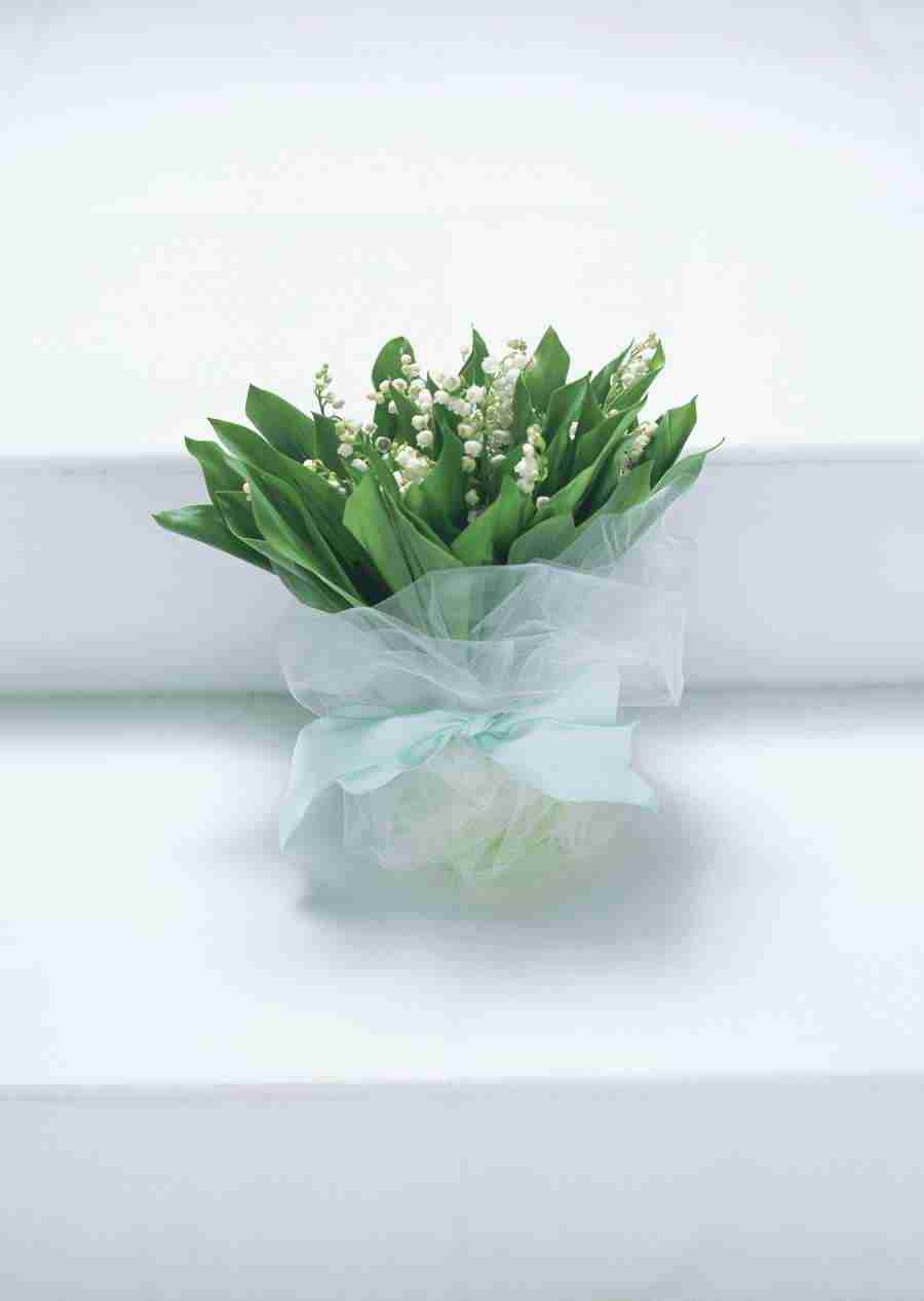 Wedding Flowers - Datacraft Sozaijiten  ></a>
<script language=JavaScript> 
  var txt = 