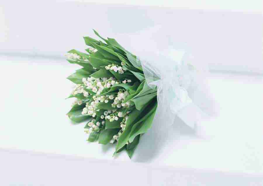 Wedding Flowers - Datacraft Sozaijiten  ></a>
<script language=JavaScript> 
  var txt = 