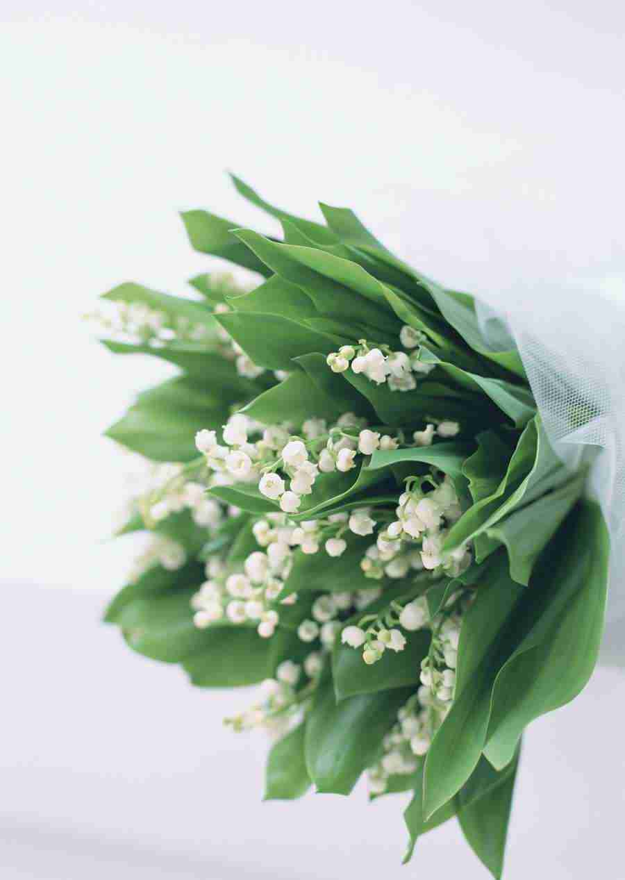 Wedding Flowers - Datacraft Sozaijiten  ></a>
<script language=JavaScript> 
  var txt = 