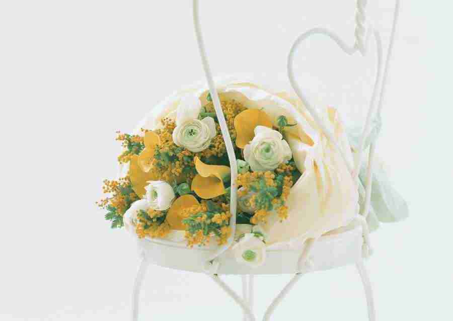 Wedding Flowers - Datacraft Sozaijiten  ></a>
<script language=JavaScript> 
  var txt = 