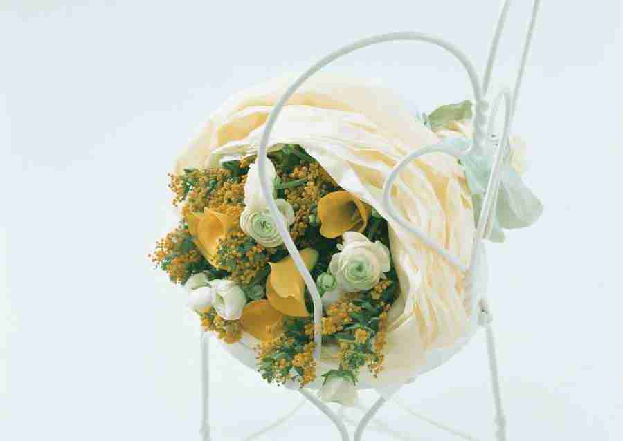 Wedding Flowers - Datacraft Sozaijiten  ></a>
<script language=JavaScript> 
  var txt = 