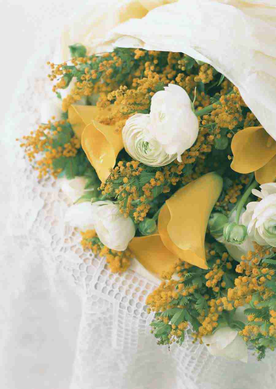 Wedding Flowers - Datacraft Sozaijiten  ></a>
<script language=JavaScript> 
  var txt = 