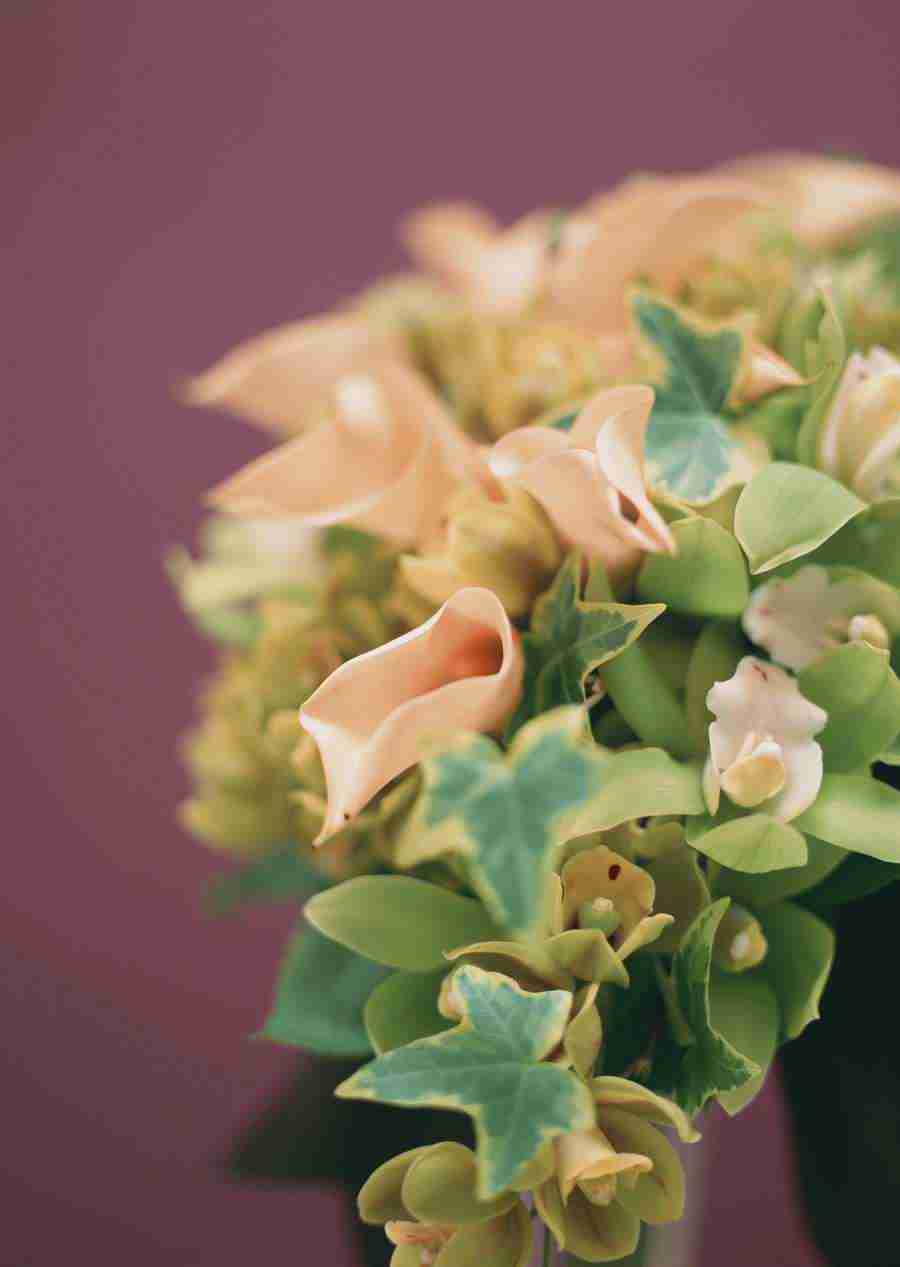 Wedding Flowers - Datacraft Sozaijiten  ></a>
<script language=JavaScript> 
  var txt = 