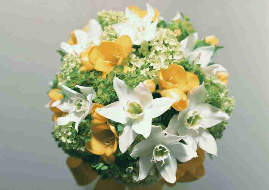 Wedding Flowers - Datacraft Sozaijiten  ></a>
<script language=JavaScript> 
  var txt = 