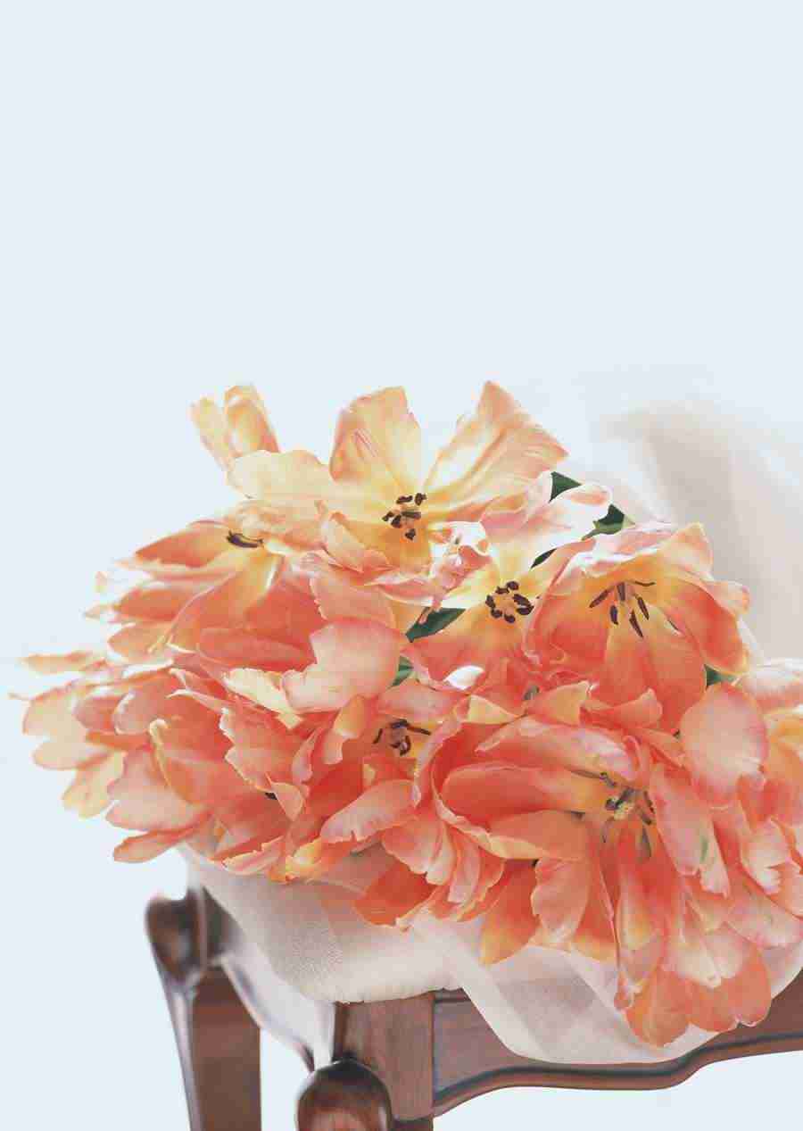Wedding Flowers - Datacraft Sozaijiten  ></a>
<script language=JavaScript> 
  var txt = 
