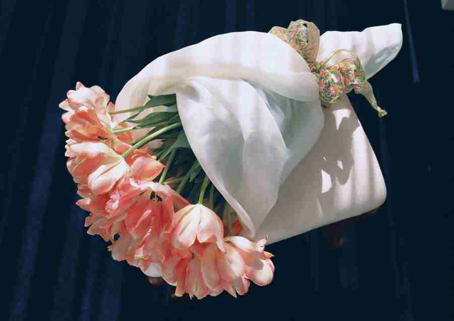 Wedding Flowers - Datacraft Sozaijiten  ></a>
<script language=JavaScript> 
  var txt = 