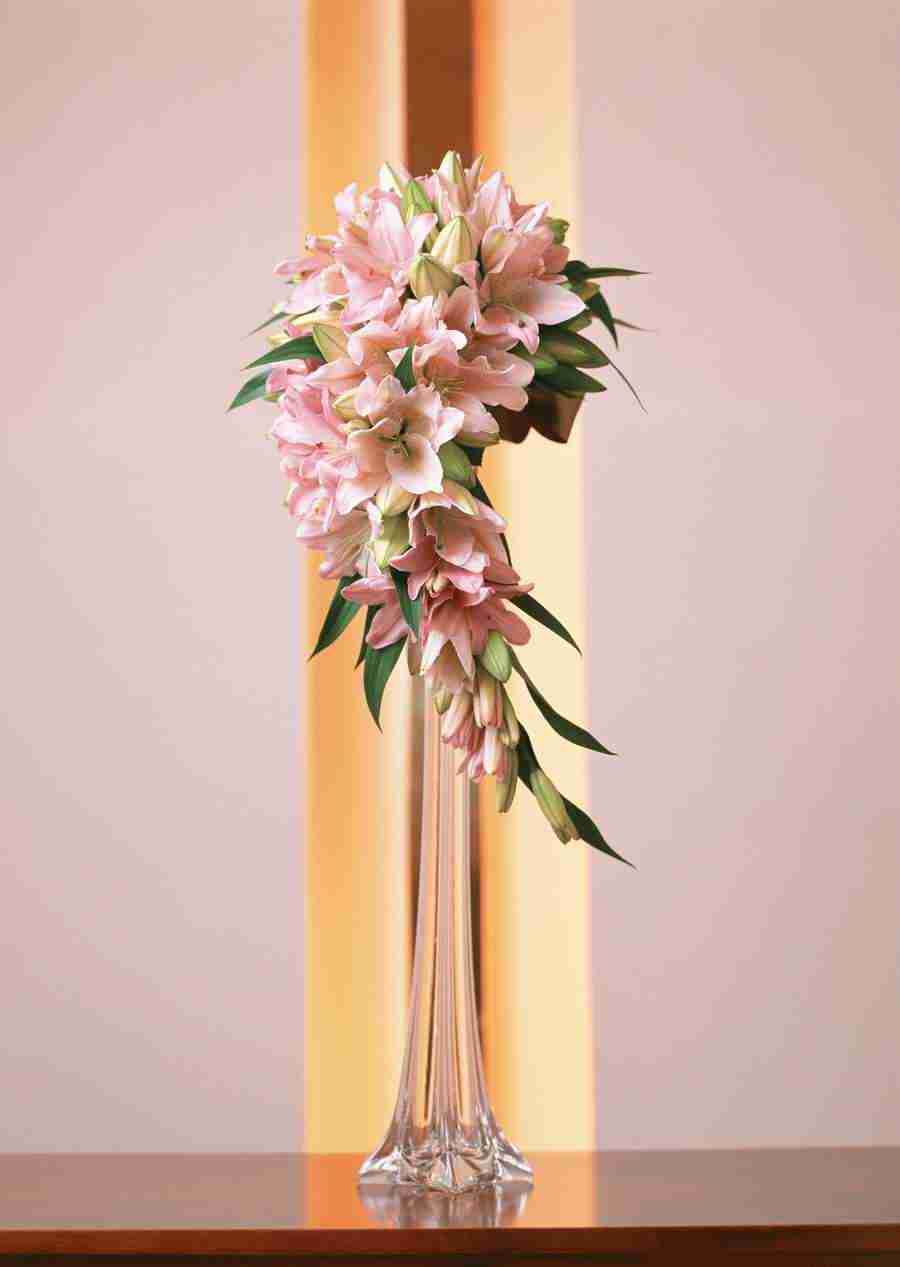 Wedding Flowers - Datacraft Sozaijiten  ></a>
<script language=JavaScript> 
  var txt = 
