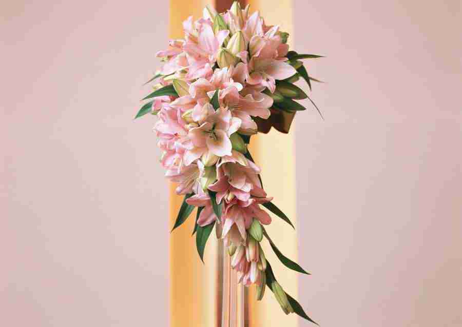 Wedding Flowers - Datacraft Sozaijiten  ></a>
<script language=JavaScript> 
  var txt = 