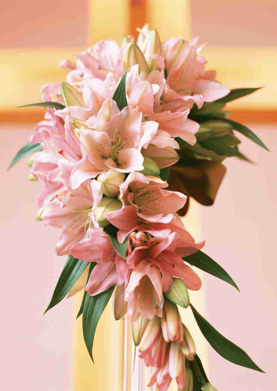 Wedding Flowers - Datacraft Sozaijiten  ></a>
<script language=JavaScript> 
  var txt = 