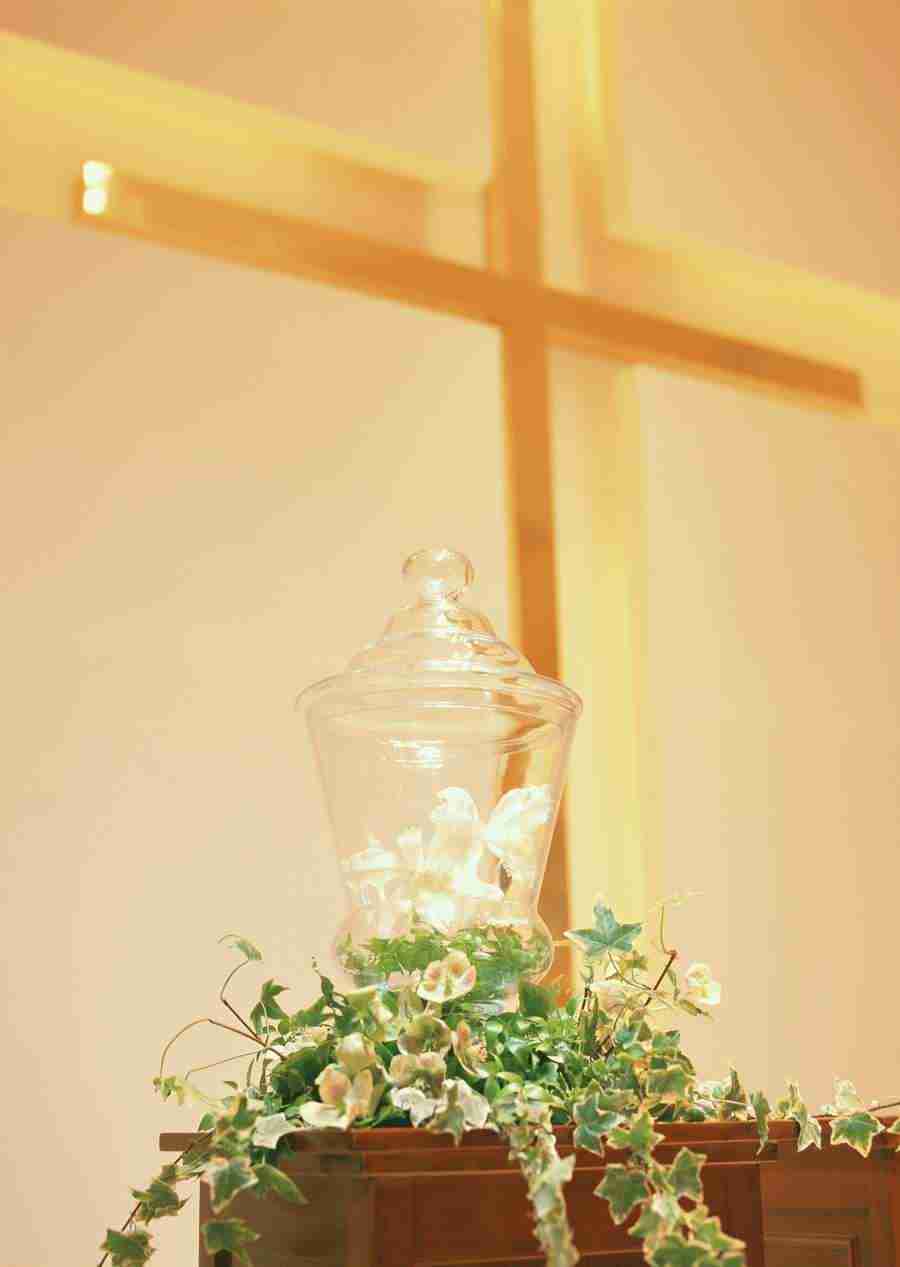 Wedding Flowers - Datacraft Sozaijiten  ></a>
<script language=JavaScript> 
  var txt = 