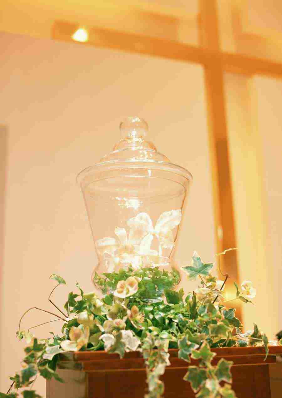 Wedding Flowers - Datacraft Sozaijiten  ></a>
<script language=JavaScript> 
  var txt = 