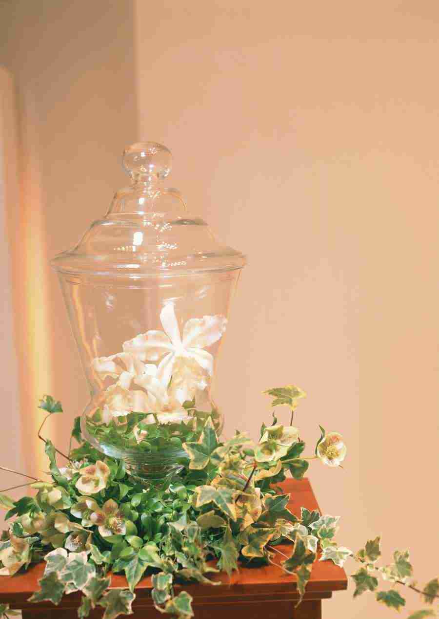 Wedding Flowers - Datacraft Sozaijiten  ></a>
<script language=JavaScript> 
  var txt = 