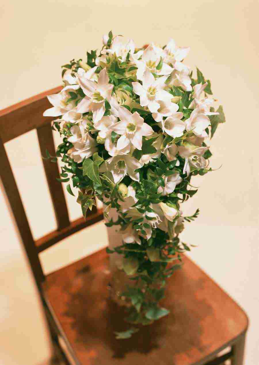 Wedding Flowers - Datacraft Sozaijiten  ></a>
<script language=JavaScript> 
  var txt = 