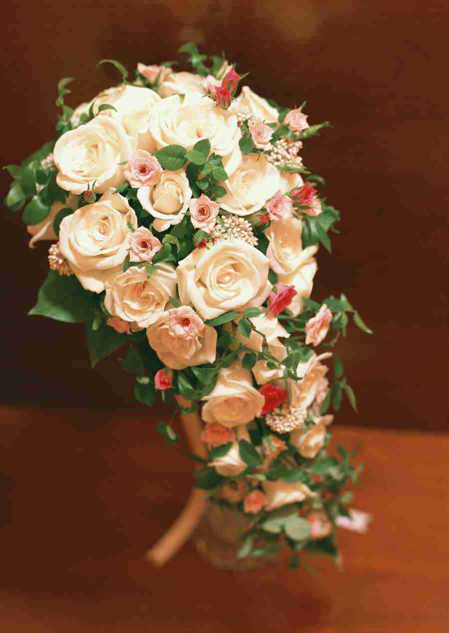 Wedding Flowers - Datacraft Sozaijiten  ></a>
<script language=JavaScript> 
  var txt = 
